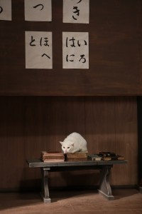 『猫侍』主役猫・あなごの萌えDVD発売＆未公開写真公開！「我が道よ 2016」MVも解禁
