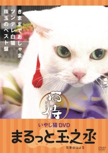 『猫侍』主役猫・あなごの萌えDVD発売＆未公開写真公開！「我が道よ 2016」MVも解禁