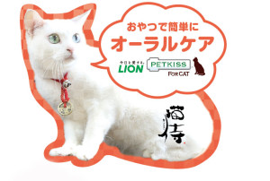 先着4000名に招き猫ストラップをプレゼント！『猫侍』×イオンペット×ライオンのコラボキャンペーンが決定